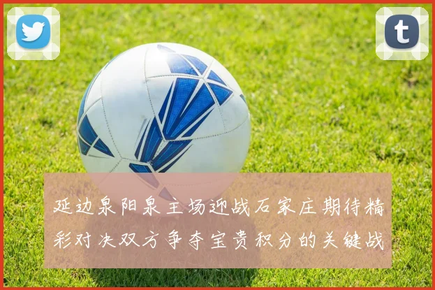 延边泉阳泉主场迎战石家庄期待精彩对决双方争夺宝贵积分的关键战役